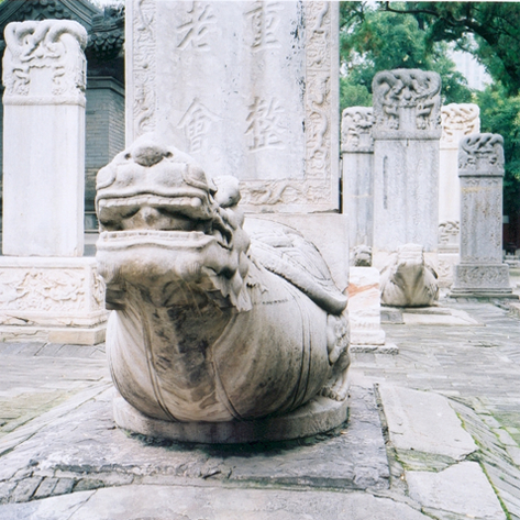 pekin-108-temple-dongyue-si-tortues