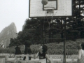 hudangshang10-basket