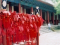pekin-101-temple-dongyue-si-interieur