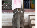 524-hassan-temple_ganapati-india2011-novembre