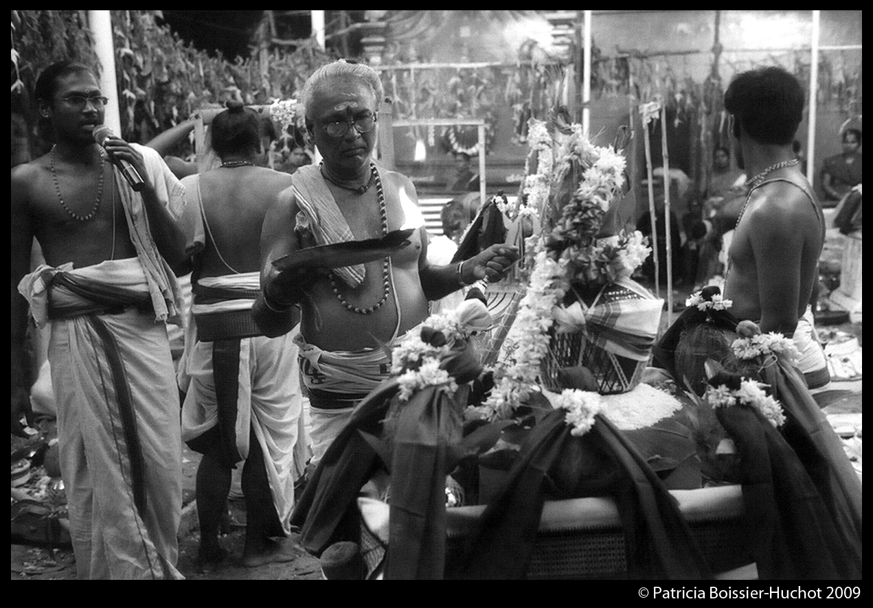 Pondicherry Brahman 007