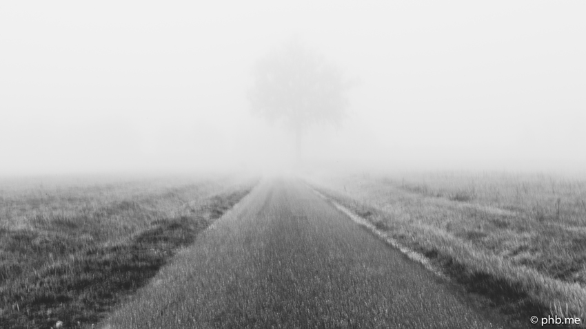05122015-IMG_7660-brouillard-repere-road-5dec2015-004