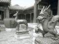 pekin-22-cite-interdite-sculture-dragon-biche